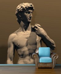 Statuia lui David, Michelangelo