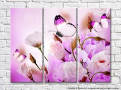 Бабочка на фоне розовой еустомы