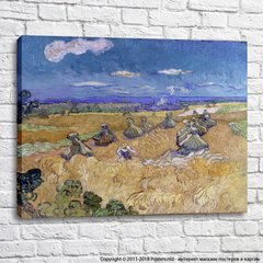Câmpuri de grâu cu secerător, Auvers