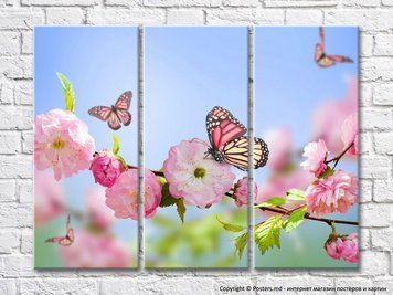 Fluturi pestriți și ramură de sakura pe un fundal de cer albastru