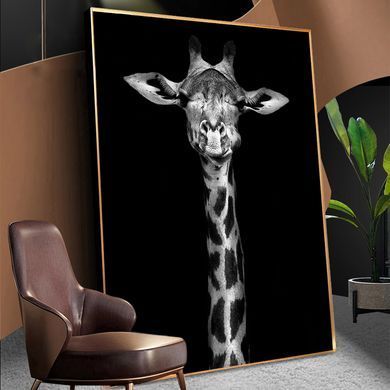 Girafă pe fundal negru, alb-negru
