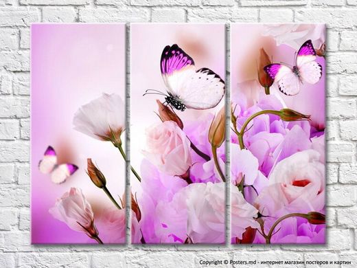 Бабочка на фоне розовой еустомы