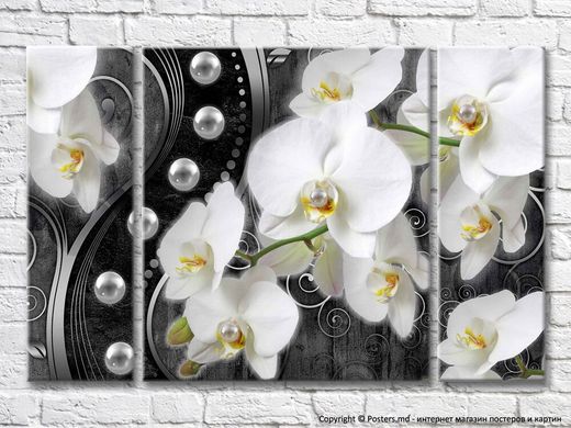 Белая орхидея с жемчужинами на темном фоне