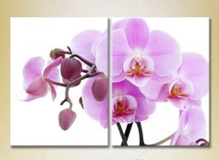 Диптих Орхидеи сиреневые с бутонами