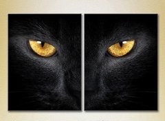 Диптих Глаза черной кошки