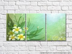 Flori albe și galbene de plumeria pe fundal verde abstract