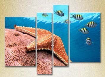 Полиптих Морская звезда на глубине