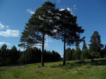 Natura, peisaje_55