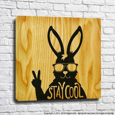 Poster Stay cool
