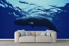 Большой кит плавает под водой