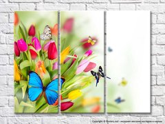 Разноцветный букет тюльпанов и бабочки