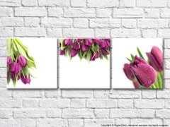Триптих из фиолетовых тюльпанов