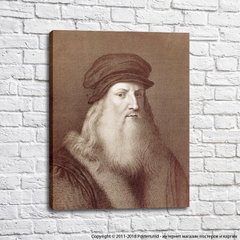 Autoportret, sepia, Da Vinci