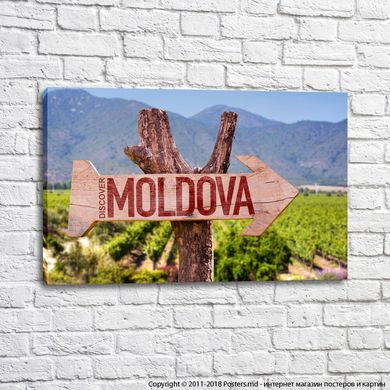 Poster Discover Moldova