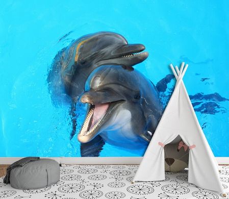 Doi delfini se îmbrățișează
