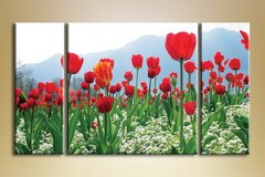 Триптих Поле тюльпанов