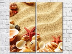 Ракушки и морские звезды на песчаном пляже