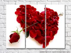 Сердце из лепестков роз и красная роза