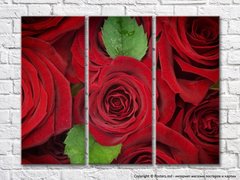 Цветочная абстракция из красных роз и листьев