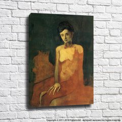 Picasso „Femeie nudă așezată”, 1905.