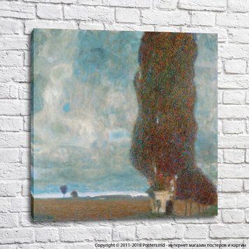 Plopul Mare II