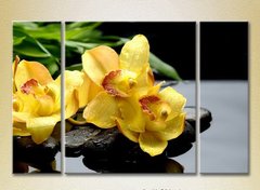Triptic Orhidee galbene pe pietre_01