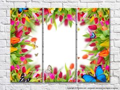 Рамочка из разноцветных тюльпанов и бабочек
