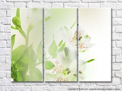 Цветы белой альстромерии и зеленые листья