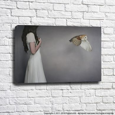 Девушка в белом платье и сова на сером фоне