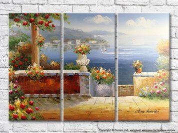 Coborare la mare decorata cu ghivece de flori