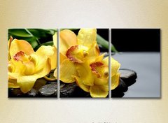 Триптих Желтые орхидеи на камнях