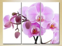 Триптих Орхидеи сиреневые с бутонами
