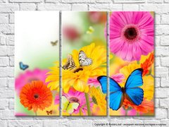 Бабочки на фоне разноцветных гербер