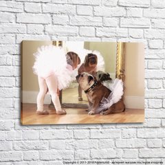 Fată și câine într-o fustă de balet