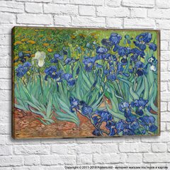 Irises,Vincent van Gogh
