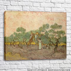 Vincent van Gogh Women Picking Olives [1889]