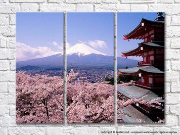 Arborele Sakura și pagoda japoneză pe fundalul Muntelui Fuji