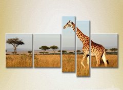 Полиптих Жираф. Кения. Африка.