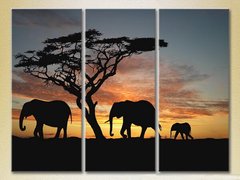 Triptic Elefanți, apus de soare în Africa_01