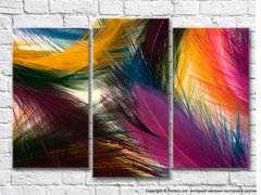 Разноцветные яркие перья птиц