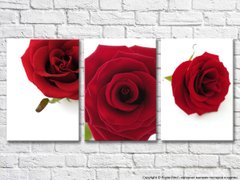 Triptic cu flori de trandafir rosu