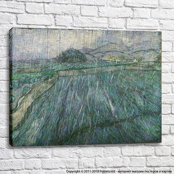 Vincent Willem van Gogh, Olanda, 1853&ndash;1890 Ploaie