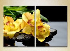 Диптих Желтые орхидеи на камнях_02