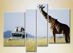 Полиптих Жираф и туристы