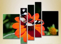 Полиптих Бабочка на цветке_04