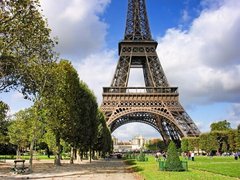 Fototapet Champ de Mars și Turnul Eiffel, Paris