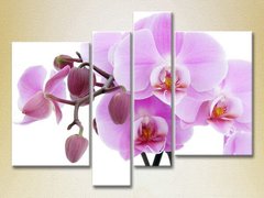 Полиптих Орхидеи сиреневые с бутонами_02