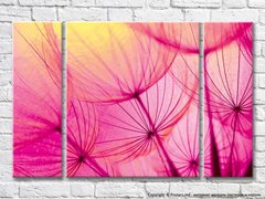 Abstracția petale de păpădie pe un fundal roz