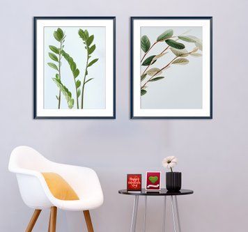 Ramuri de plante de interior, verzi