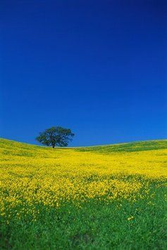 Natura si peisaje_04